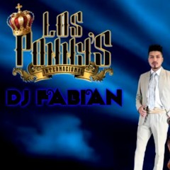 110 ACAPELLA PARA QUE SUFRIR LOS PONNYS DJ FABIAN}