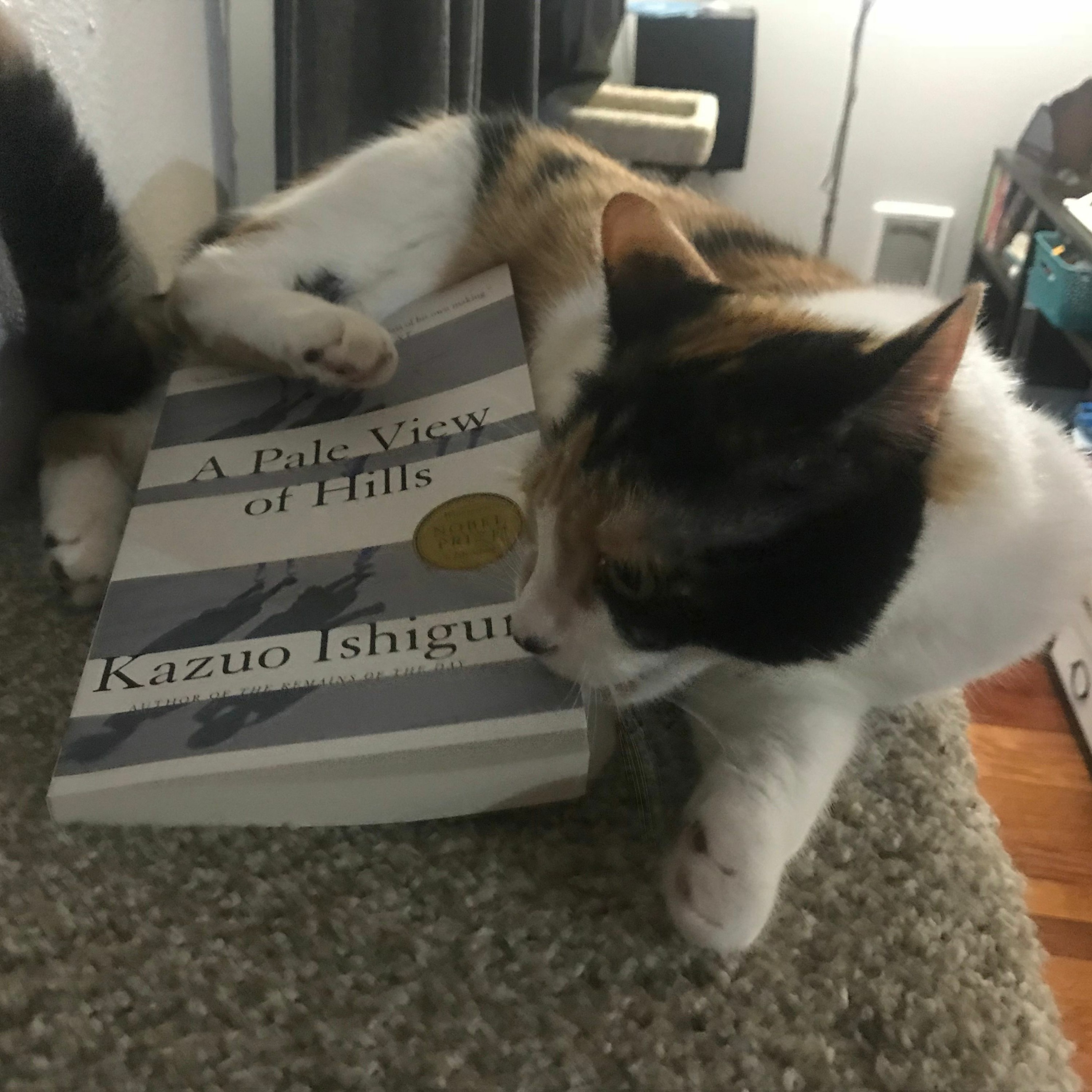1001bookspodcast