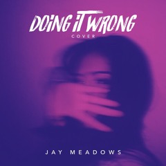 Doing It Wrong - Drake (Jay Meadows Cover)