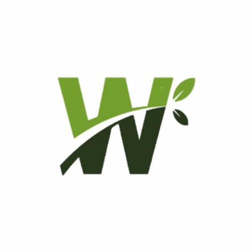 Stream The 4 Cornerstones By Word Of Life Listen Online For Free On