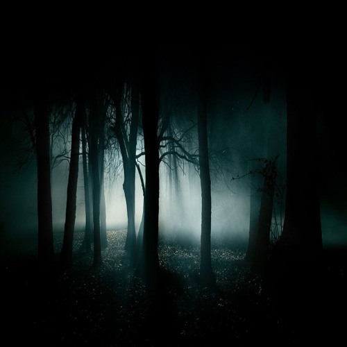 Stream Encounter to Aokigahara Forest by Kamileon | Listen online for ...