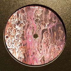 Florian Meindl - Basic Laws [ FLASH Recordings ]