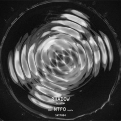 Rhadow - Paradigm (NTFO remix) [SNTP084] preview