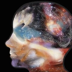 Auri Mind Express 2018