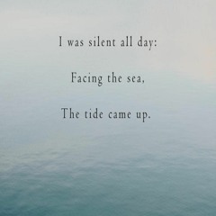 I Was Silent All Day, Facing The Sea, The Tide Came Up. (Naviarhaiku 250)