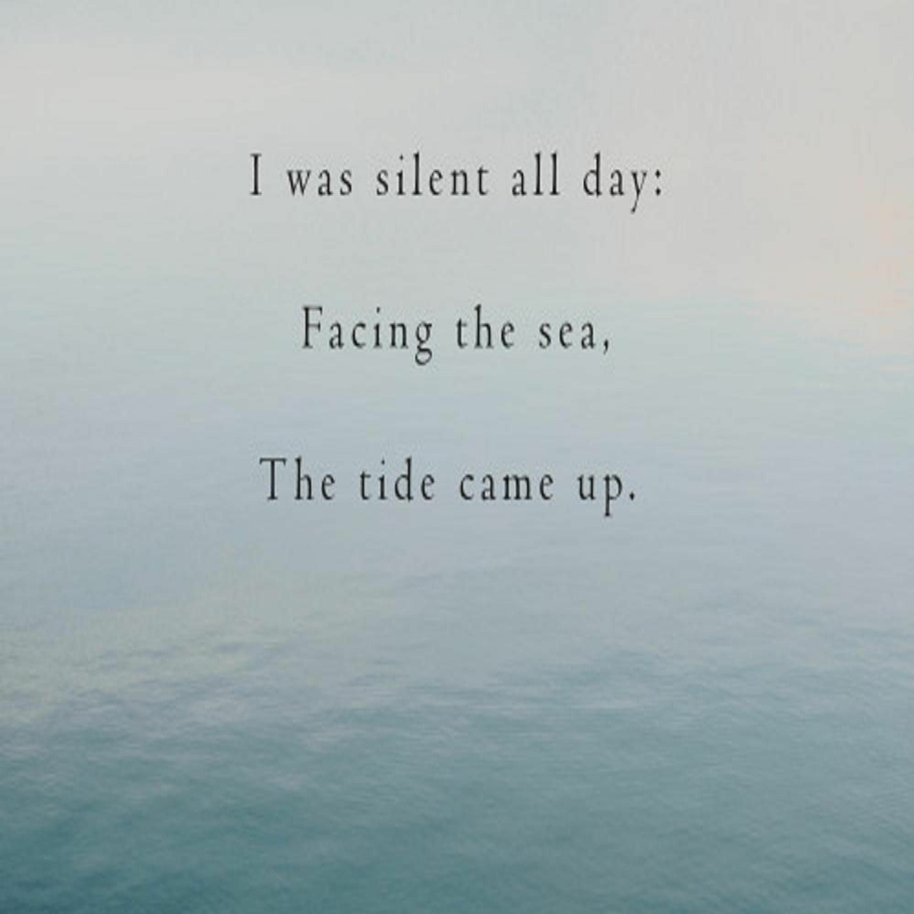 I Was Silent All Day, Facing The Sea, The Tide Came Up. (Naviarhaiku 250) episode artwork