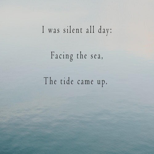 I Was Silent All Day, Facing The Sea, The Tide Came Up. (Naviarhaiku 250)