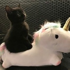 THYLACINE - Piany Pianino 26 Min