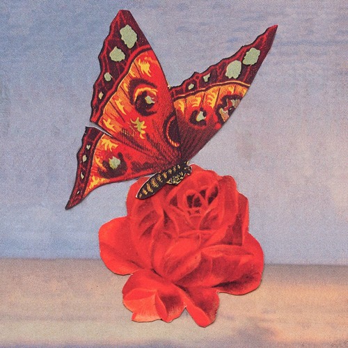 Sam Evian - Next To You (Feat. Kazu Makino)