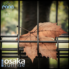 Osaka Sunrise 67