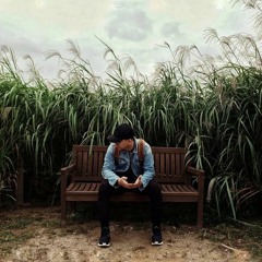 Yêu Em Làm Ngơ - Demo