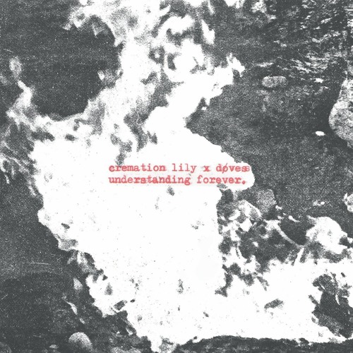 cremation lily x døves - understanding forever