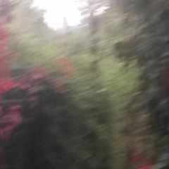 POST-ERROR (18 octobre 18)