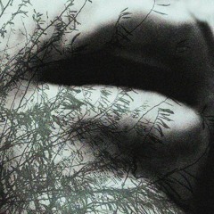 Suis - Moi (Frigid Darkwave Remix)