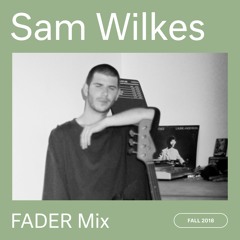 FADER Mix: Sam Wilkes