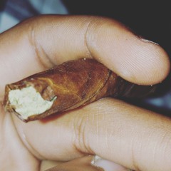 Gott@ Go Get It