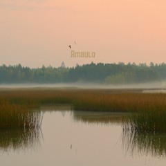 Under Reeds