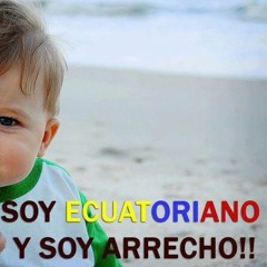 delayzer feat. ecuadorian - mosaico latino ( ecuadorian remix club )
