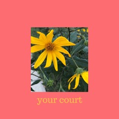 your court