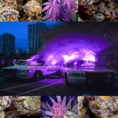 Cannabis Patrollin' (Prod. TooRawEnt)