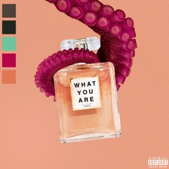 Bardo & zyyn - WHAT YOU ARE