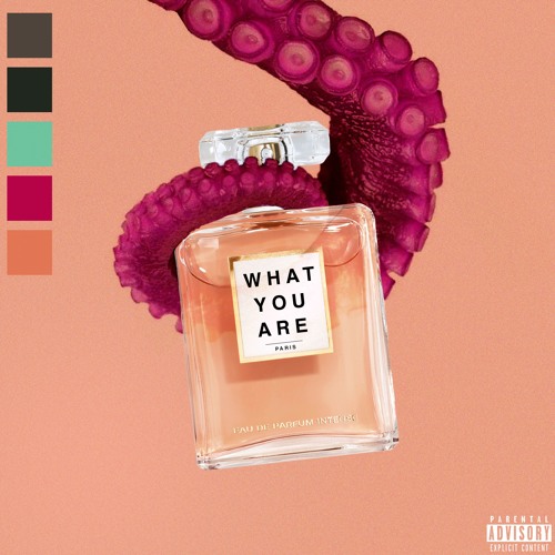 Bardo & zyyn - WHAT YOU ARE