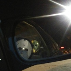 PJ TRE2REAL - NO PROBLEMS