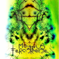 Magnvs Teradroide - Shocke De Infieles (XElektro RMX)