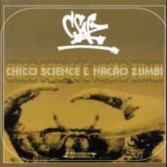 Risoflora - Chico e NZ (Remix BID)