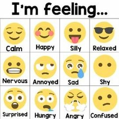 Feelings