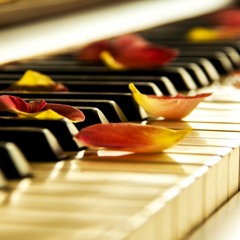 All the Pianos in the World