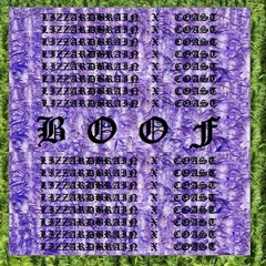 B O O F - LIZZARDBRAIN X COAST