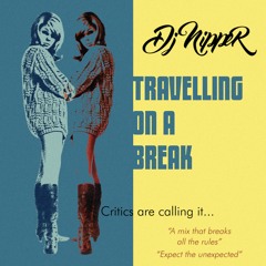 DJ Nipper - Travelling On A Break
