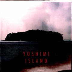 Yoshimi - Lost In Fragmented Waves