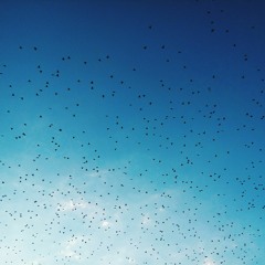 Where My Heart Is Hidden Lies With Yours