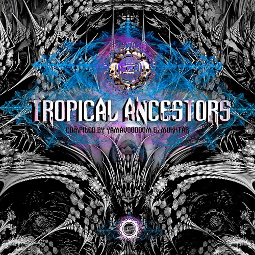 Can't You See It? [V.A Tropical Ancestors] (BONUS TRACK) RELEASE SOON