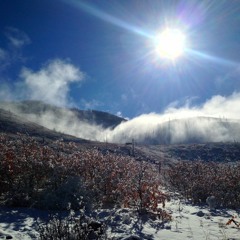 Tea at the End of the Road