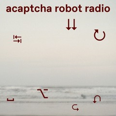 Acaptcha Robot Radio : Drum or Dream