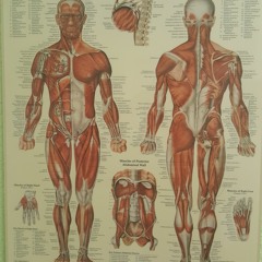 Snapped Out - Promo Mix