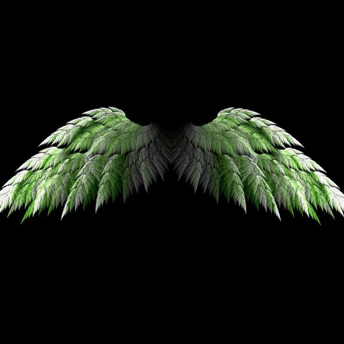 Nephym Is Born : Phase One