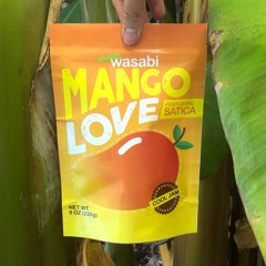 Mango Love (ft. Satica)