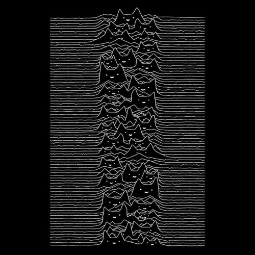 Glitch