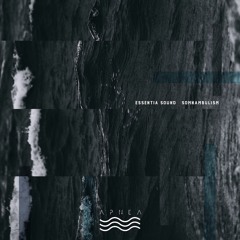 Essentia Sound - Warming Rays Of The Winter Sun [APNEA30]