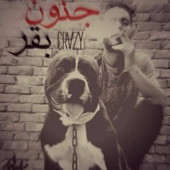 جنون بقر - الجزار
