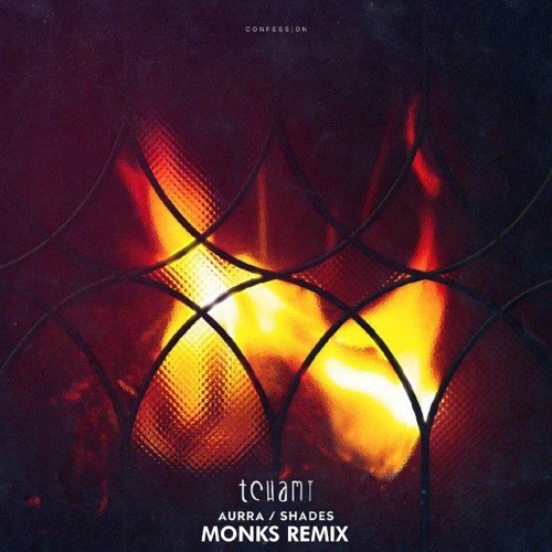 Tchami - Aurra ( MONKS Remix )