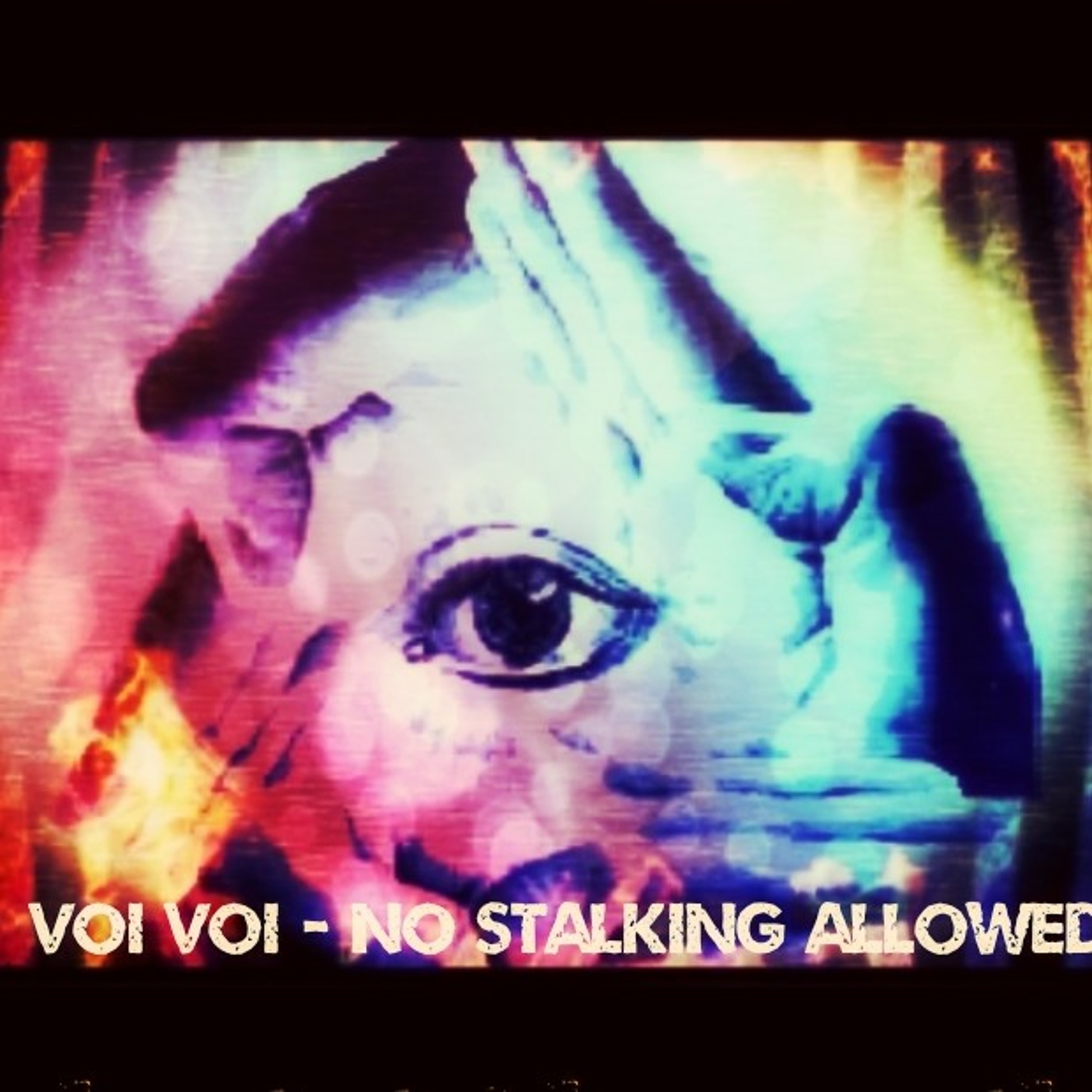No Stalking Allowed episode artwork