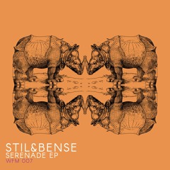 PREMIERE: Stil & Bense - Serenade (WOTAFAK Remix) [Wildfang Music]