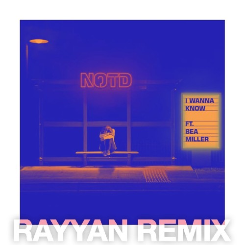 NOTD Ft. Bea Miller - I Wanna Know (Rayyan Remix)