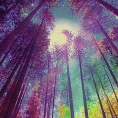Akajani - The journey