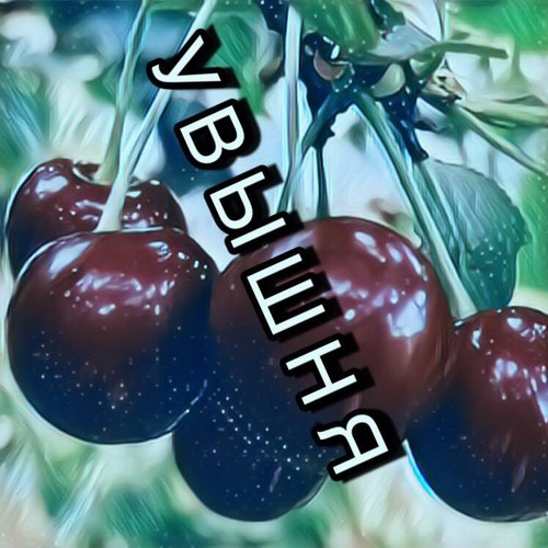 Тоф- там где ты и я